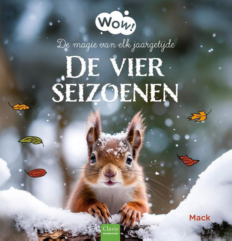 Afbeelding laden in galerijviewer, Wow! de vier seizoenen. de magie van elk
