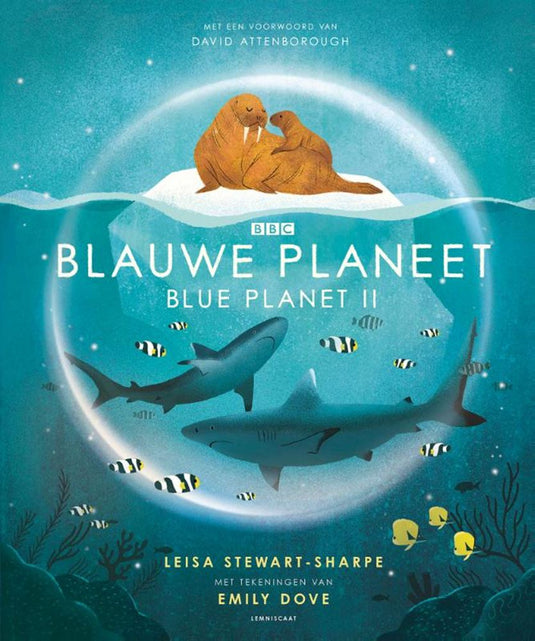 Blauwe planeet. 7+