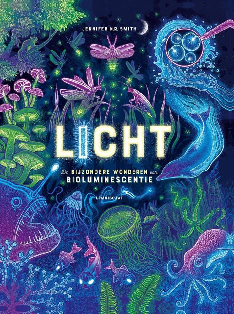 Afbeelding laden in galerijviewer, Licht 10+
