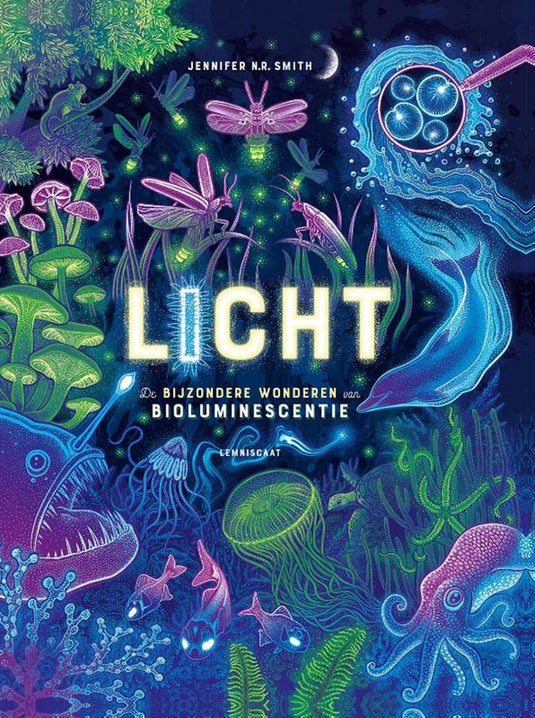 Licht 10+