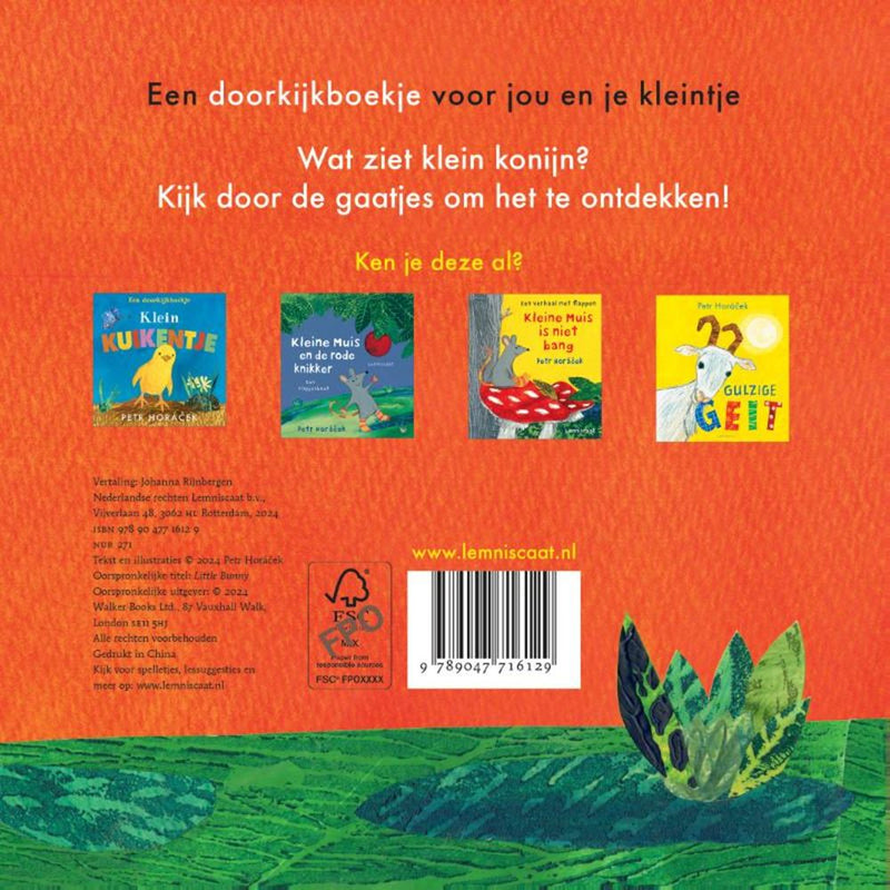 Afbeelding laden in galerijviewer, Klein konijn 2+
