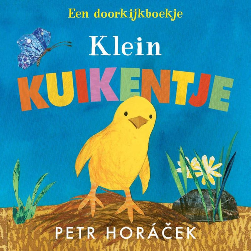 Afbeelding laden in galerijviewer, Klein kuikentje 2+
