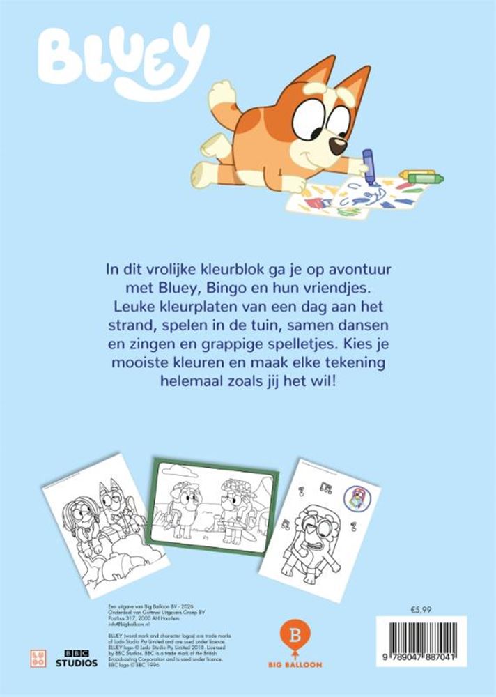 Afbeelding laden in galerijviewer, Bluey's kleurblok 3+
