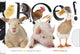 Kijk en voelboek: boe! 1+
