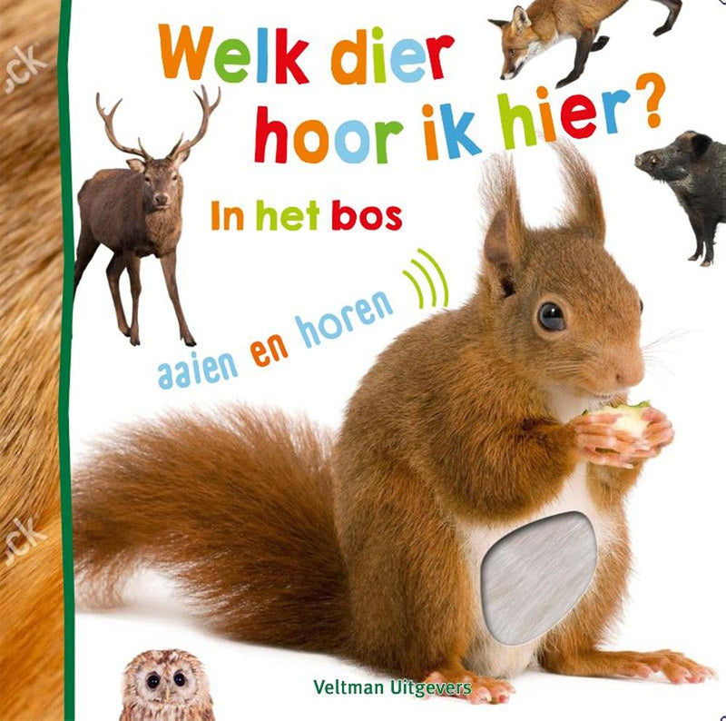 Afbeelding laden in galerijviewer, Welk dier hoor ik hier? - in het bos 1+
