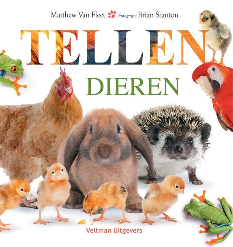 Afbeelding laden in galerijviewer, Kartonboek tellen - dieren 1+
