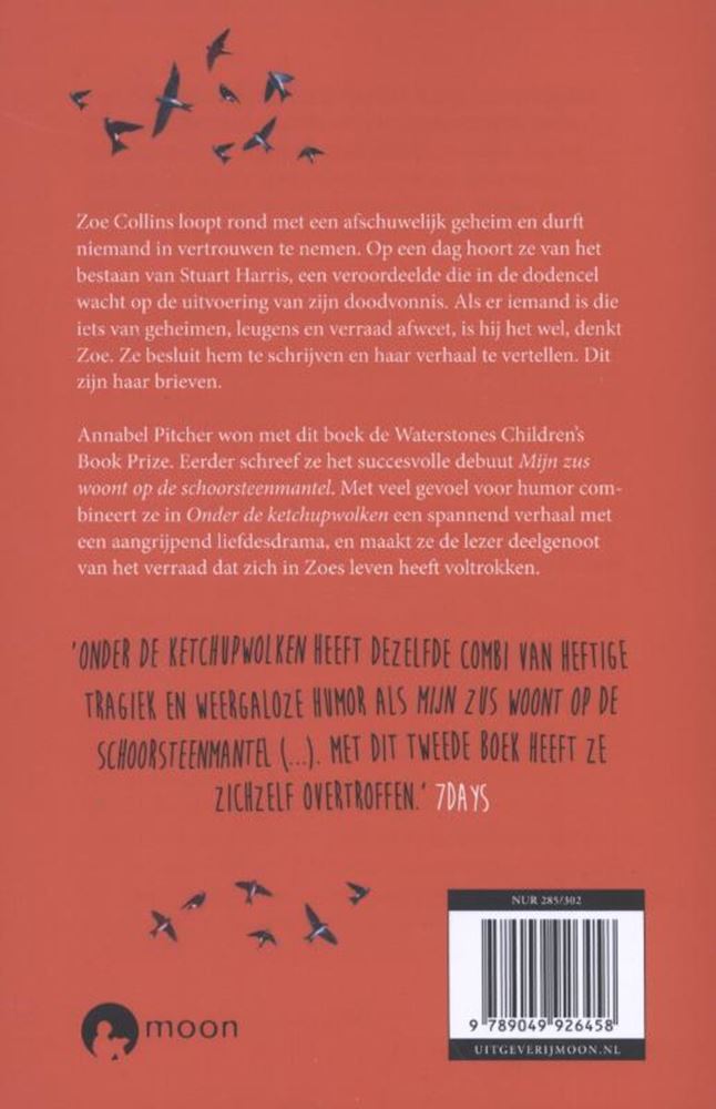 Afbeelding laden in galerijviewer, Onder de ketchupwolken. 15+
