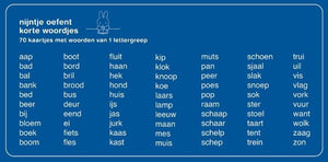 Centraal boekhuis oefenkaartjes nijntje oefent korte woordjes