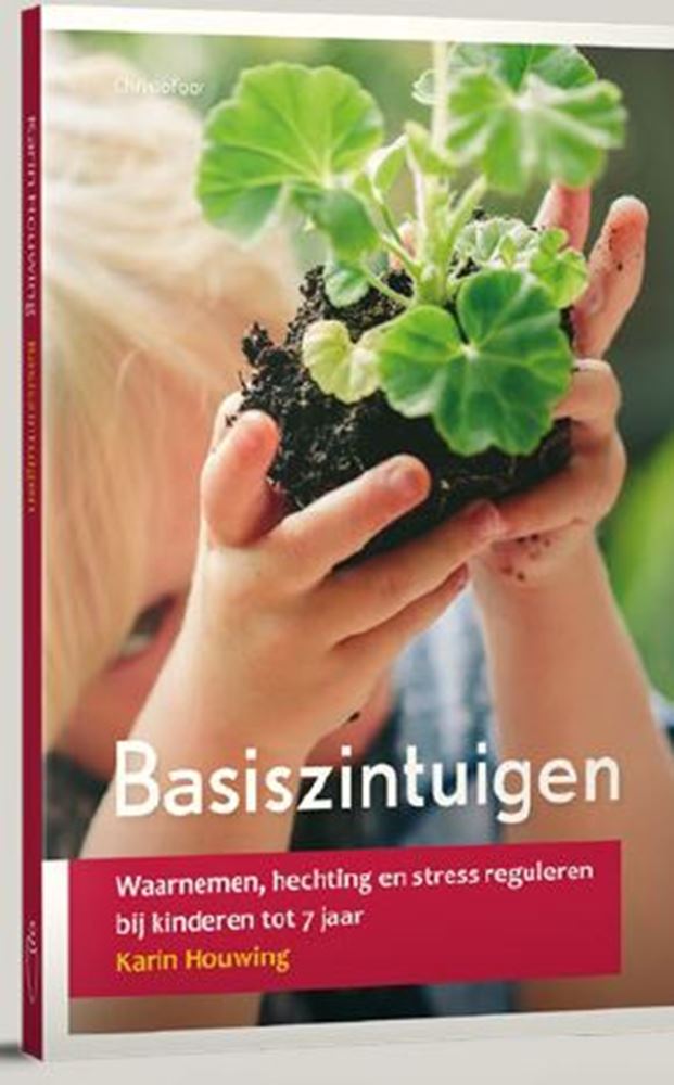 Afbeelding laden in galerijviewer, Basiszintuigen.
