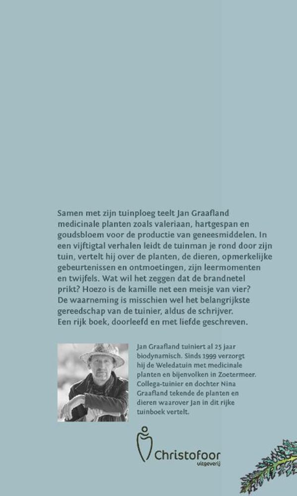 Afbeelding laden in galerijviewer, Groene genade.
