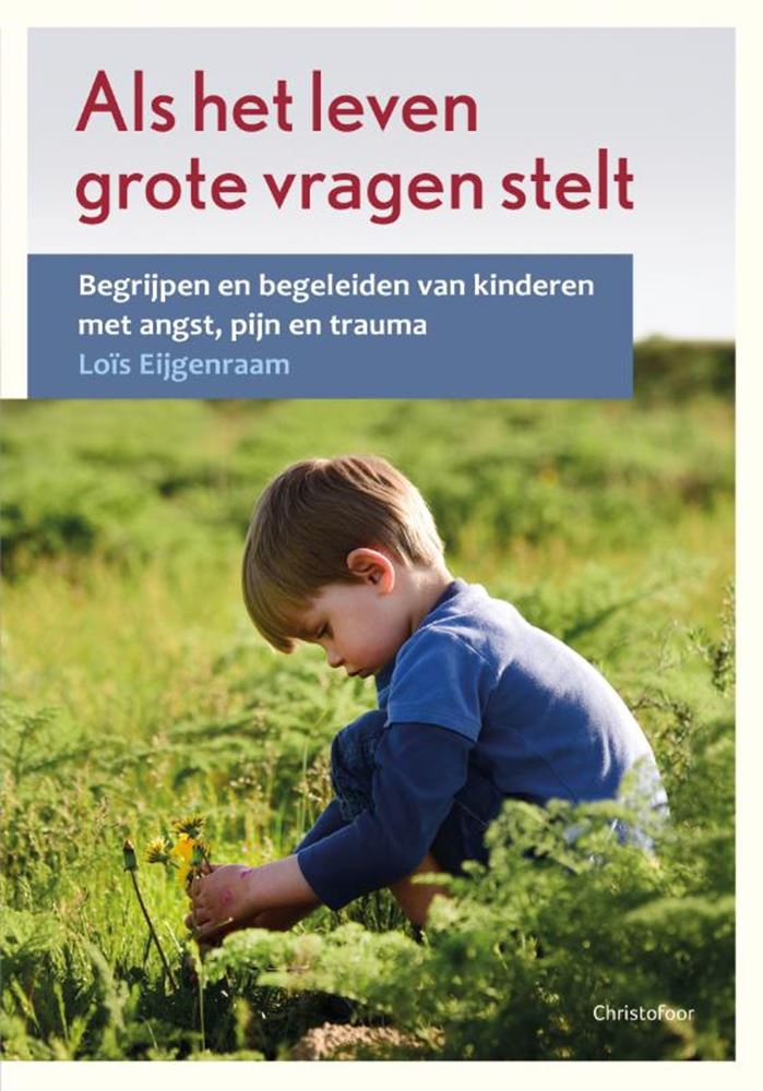 Afbeelding laden in galerijviewer, Als het leven grote vragen stelt
