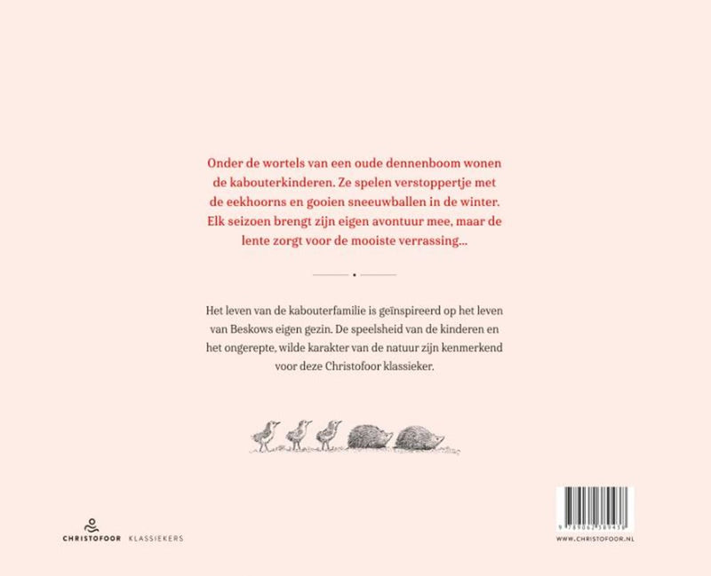 Afbeelding laden in galerijviewer, Klassieker: de kabouterkinderen. 3+
