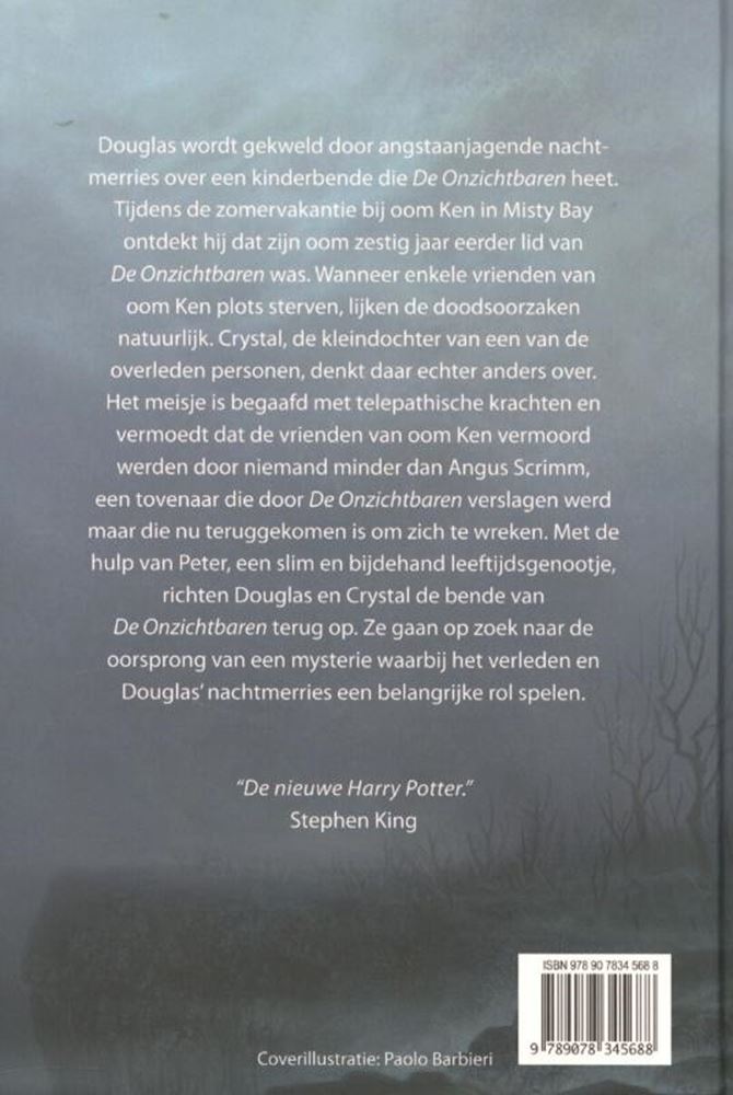 Afbeelding laden in galerijviewer, Ty onzichtbaren 1: het geheim van mis bay
