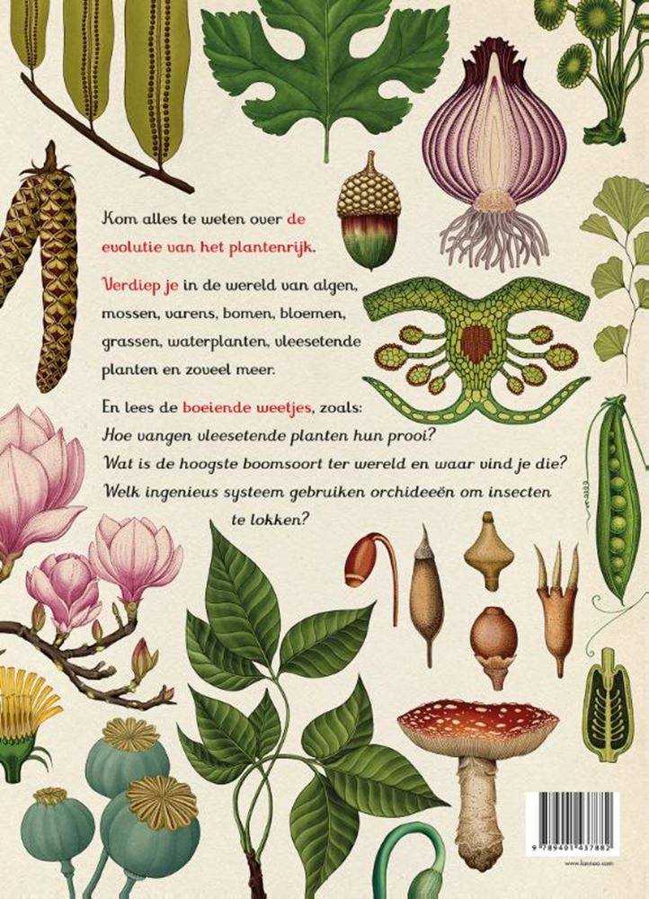 Afbeelding laden in galerijviewer, Het plantenboek. 8+
