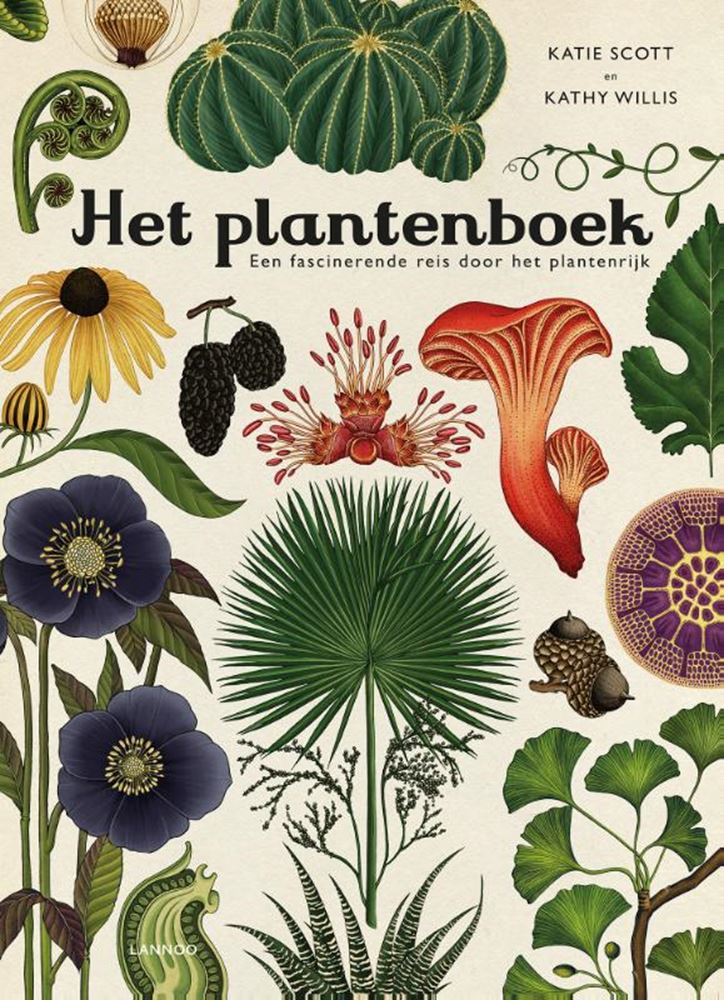 Afbeelding laden in galerijviewer, Het plantenboek. 8+

