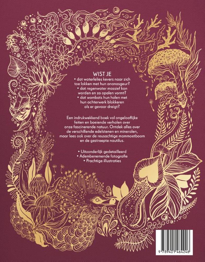 Afbeelding laden in galerijviewer, Dikke boek van onze bijzondere natuur
