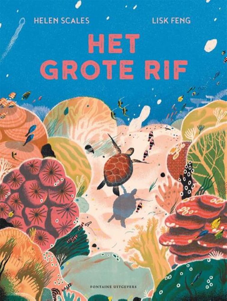 Afbeelding laden in galerijviewer, Het grote rif. 6+

