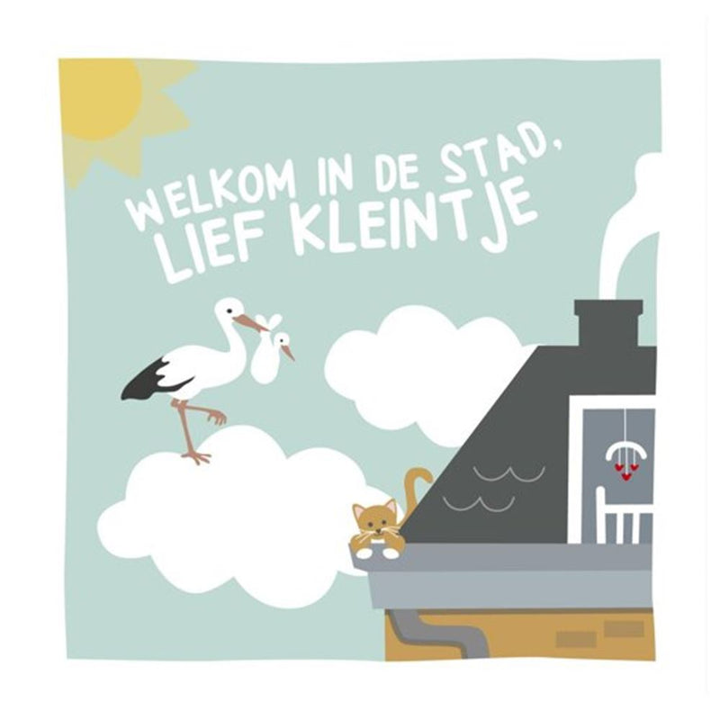 Afbeelding laden in galerijviewer, Boek specials nederland bv welkom in de stad, lief kleintje. stoffe
