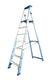 Asc bordes trap bt-7