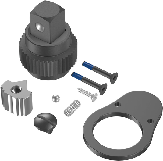 Wera 9925 ratelreparatieset | voor click-torque e 1 push r l draaimomentsleutel - 5547619001
