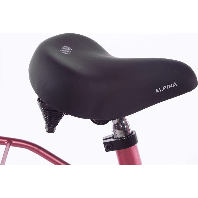 Afbeelding laden in galerijviewer, Alpina Cargo M18 Rood
