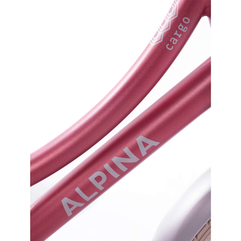 Afbeelding laden in galerijviewer, Alpina Cargo M18 Rood
