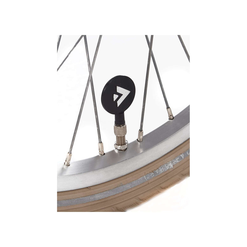 Afbeelding laden in galerijviewer, Alpina Cargo M20 Wood Rose Matt
