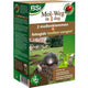 BSI Mol-weg in 1 dag + fotogids