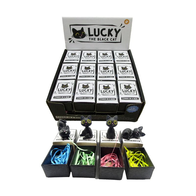 Afbeelding laden in galerijviewer, Lucky de zwarte kat charm in doosje
