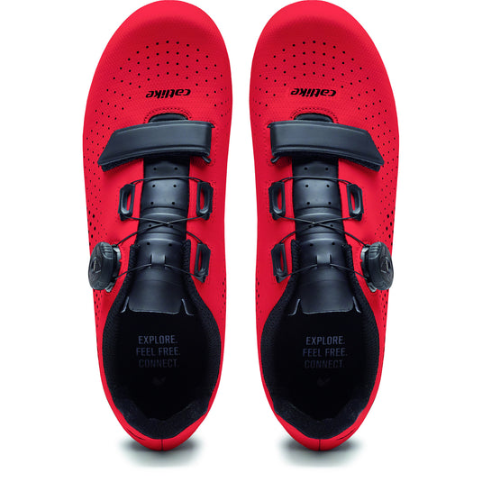 5604415146152
