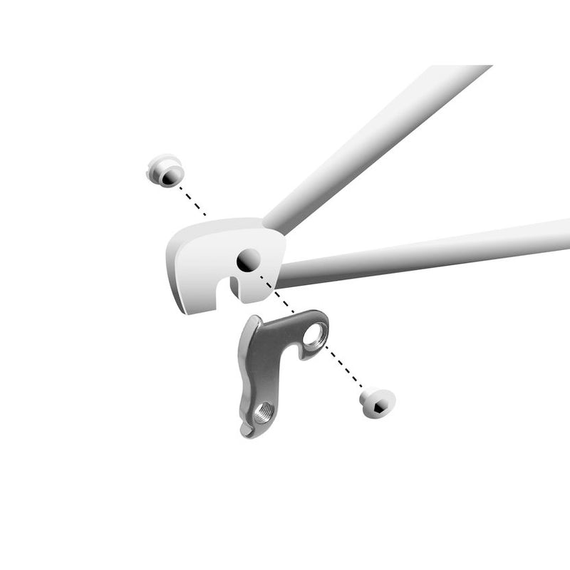 Afbeelding laden in galerijviewer, Union derailleurpad GH-003. diverse merken
