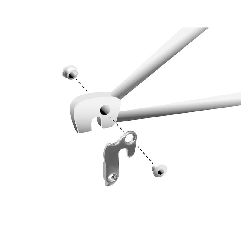 Afbeelding laden in galerijviewer, Union derailleurpad GH-005. diverse merken
