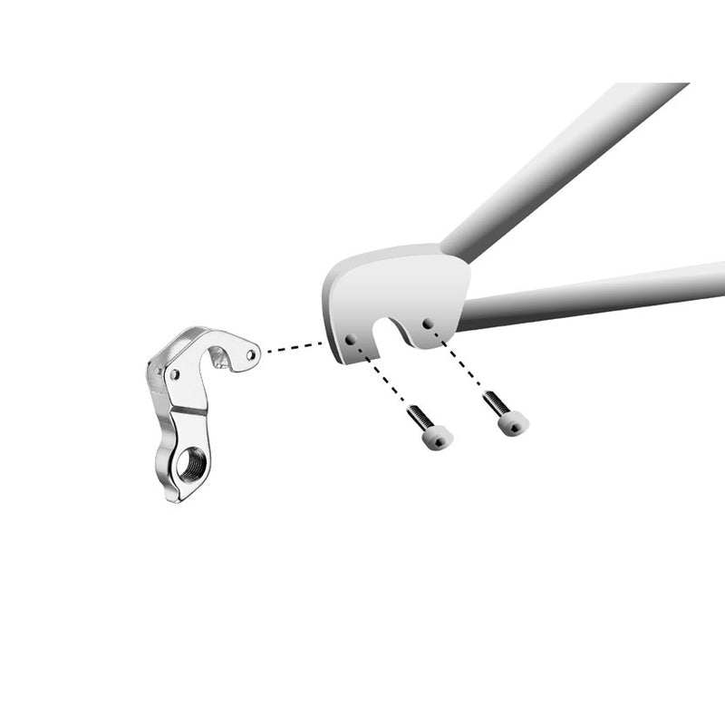 Afbeelding laden in galerijviewer, Union derailleurpad GH-148 met schroefset M3x1.0
