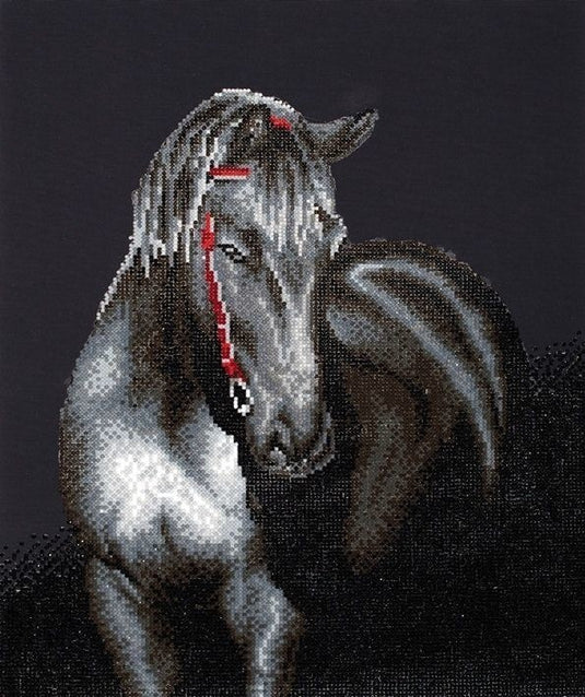 Midnight stallion diamond dotz: 53x42 cm (dd10.012)
