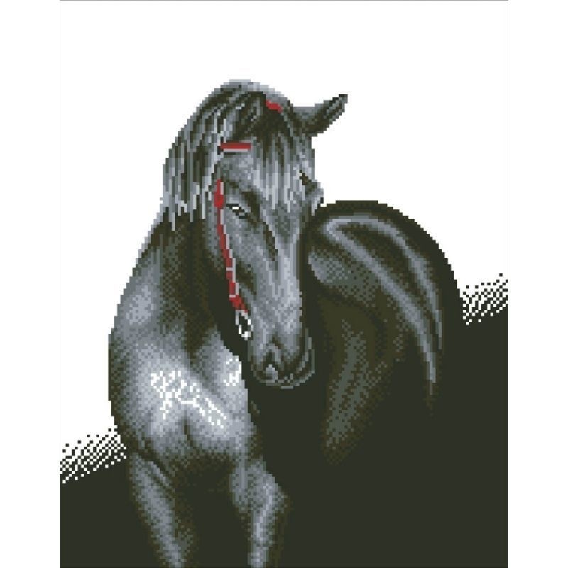 Afbeelding laden in galerijviewer, Midnight stallion diamond dotz: 53x42 cm (dd10.012)
