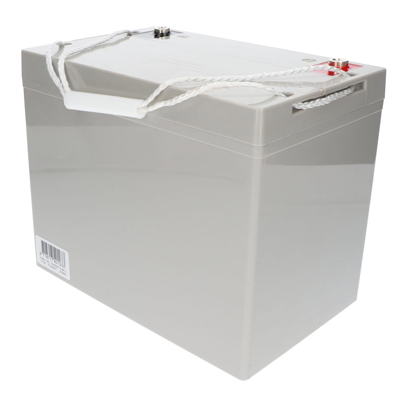 Afbeelding laden in galerijviewer, Yanec gel accu 12v 80ah
