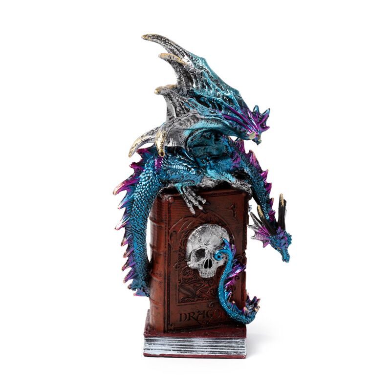 Afbeelding laden in galerijviewer, Dark legends book of the dragon
