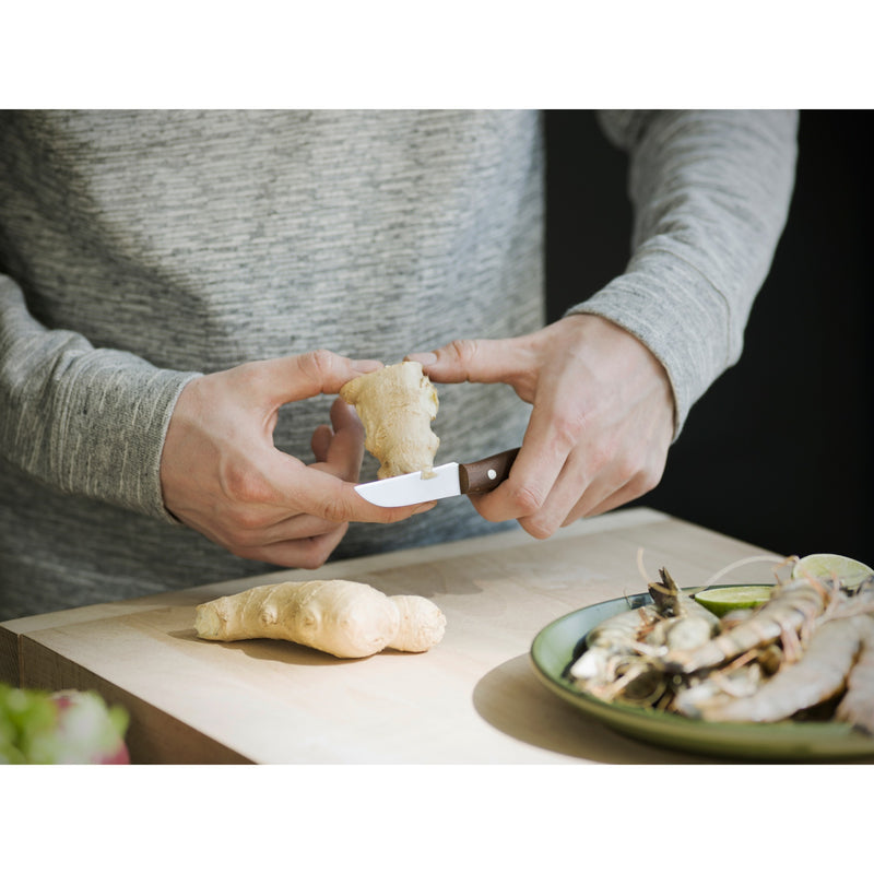 Afbeelding laden in galerijviewer, Fiskars Norr schilmes 7 cm
