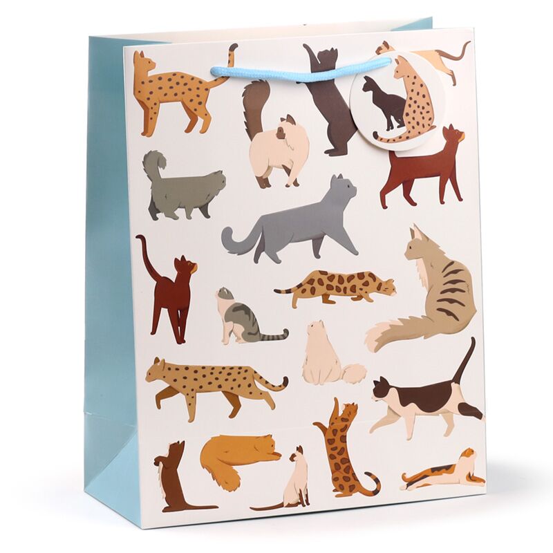 Afbeelding laden in galerijviewer, Feline fine katten - cadeautasje large
