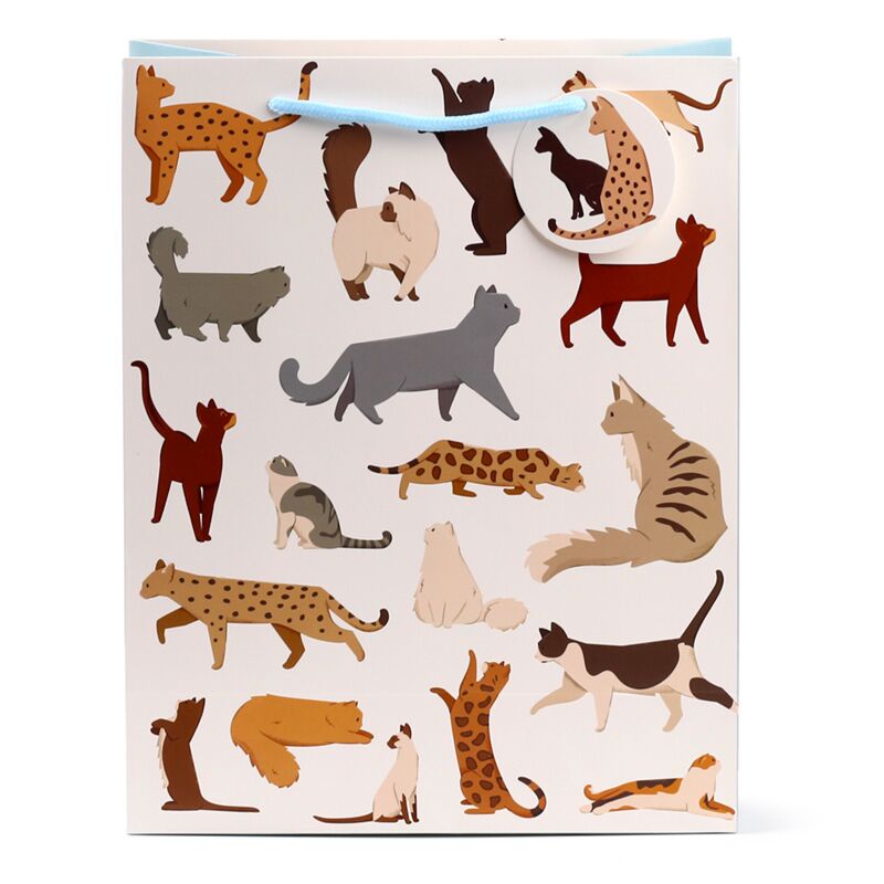 Afbeelding laden in galerijviewer, Feline fine katten - cadeautasje large
