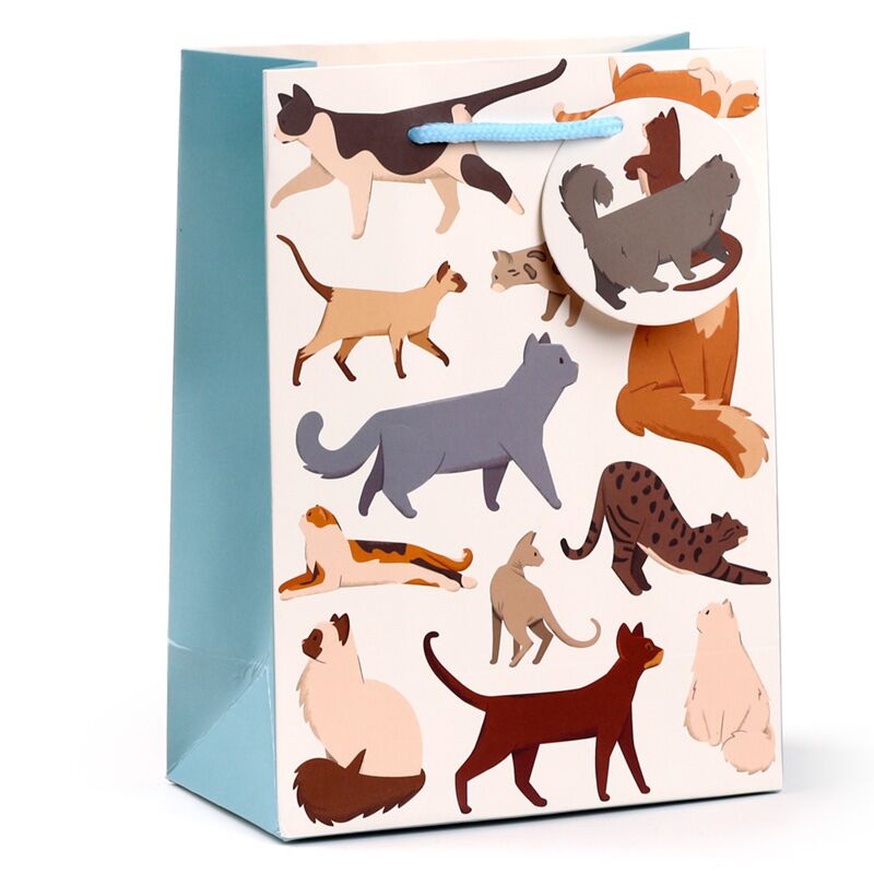 Afbeelding laden in galerijviewer, Feline fine katten - cadeautasje medium
