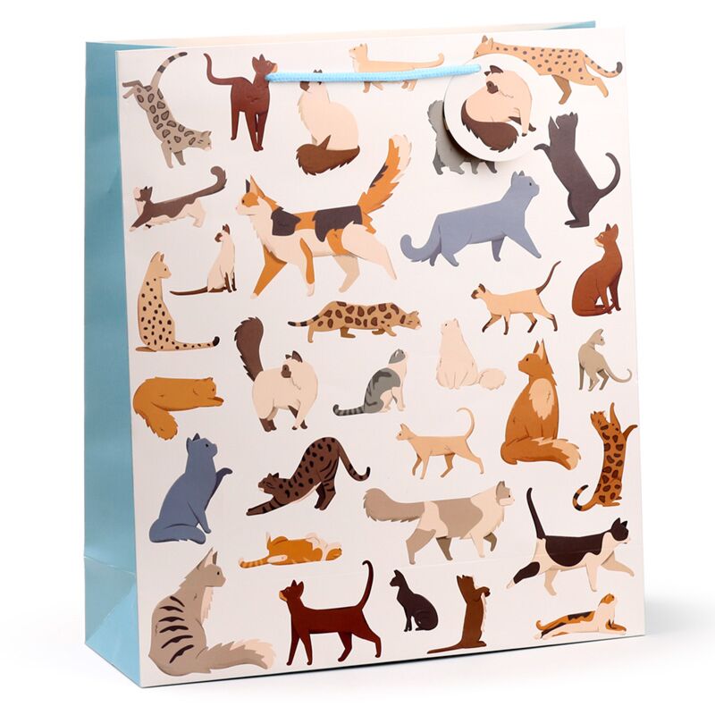 Afbeelding laden in galerijviewer, Feline fine katten - cadeautasje xl
