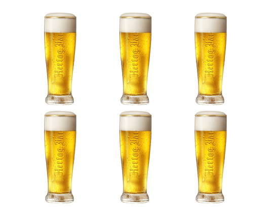 Hertog jan embost glas (6x 25cl)