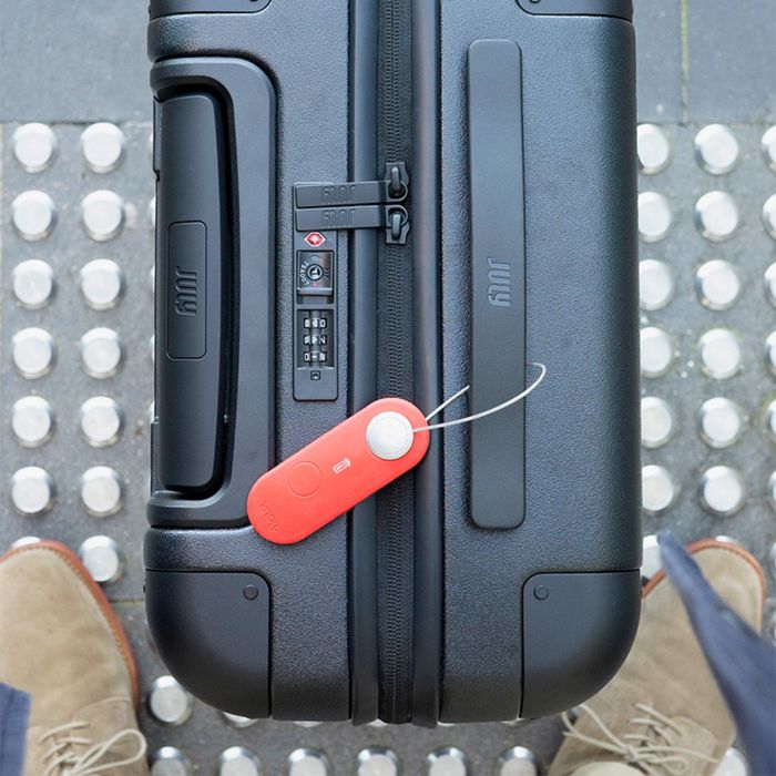Afbeelding laden in galerijviewer, Knog scout travel - apple - tangerine dream
