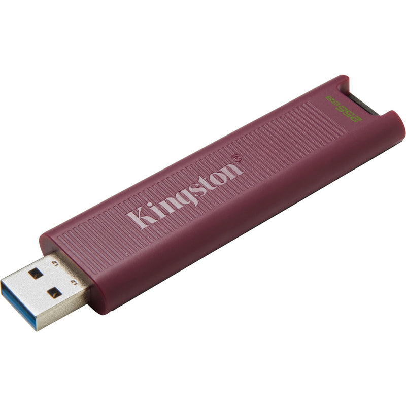 Afbeelding laden in galerijviewer, Kingston DataTraveler Max 256 GB
