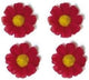 Basil flower 4 magrietjes rood 50188
