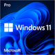 Microsoft Windows 11 (Nederlandstalig) Systembuilder