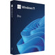 Microsoft Windows 11 Professional (Engelstalig)