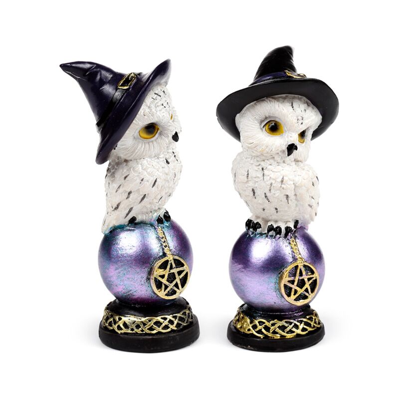 Afbeelding laden in galerijviewer, Wise old magical owl op regenboogglans uil
