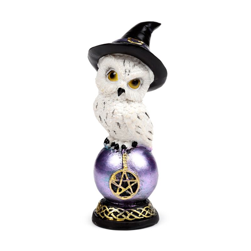 Afbeelding laden in galerijviewer, Wise old magical owl op regenboogglans uil
